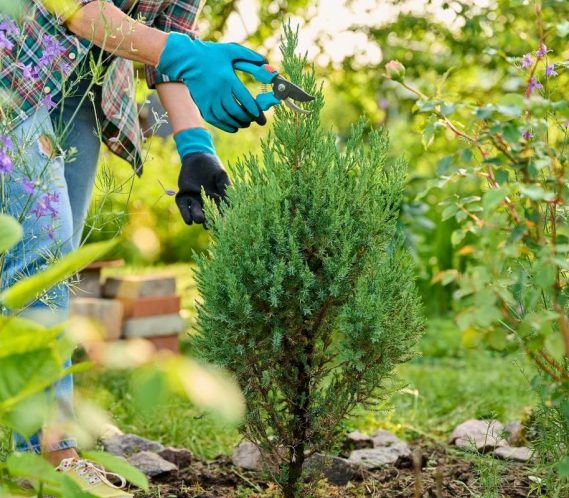 Mantenimiento de Comunidades